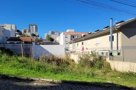 Terreno / Lote / Condomínio à venda, 388m² no Santa Catarina, Caxias do Sul - Foto 4