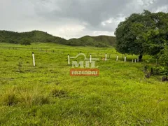 Fazenda / Sítio / Chácara à venda no Zona Rural, Vila Propício - Foto 7