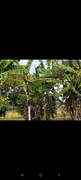 Fazenda / Sítio / Chácara com 4 Quartos à venda no Setor Central, Palmeiras de Goiás - Foto 4