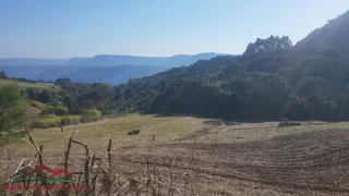 Terreno / Lote / Condomínio à venda, 50000m² no Linha Brasil, Nova Petrópolis - Foto 22