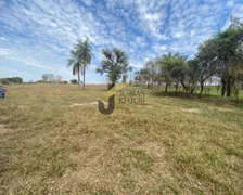 Terreno / Lote Comercial à venda no COLMEIA, Jaguariúna - Foto 6