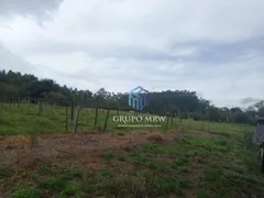 Fazenda / Sítio / Chácara com 3 Quartos à venda, 110m² no Zona Rural, Pilar do Sul - Foto 31