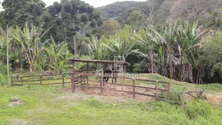 Fazenda / Sítio / Chácara com 3 Quartos à venda, 300m² no Vargem Grande, Teresópolis - Foto 21