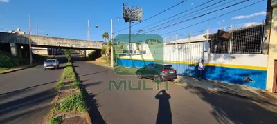 Terreno / Lote Comercial com 1 Quarto para alugar, 1000m² no Brasil, Uberlândia - Foto 1