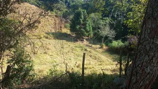 Fazenda / Sítio / Chácara à venda, 193600m² no Centro, São Miguel Arcanjo - Foto 12