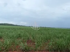 Fazenda / Sítio / Chácara com 1 Quarto à venda, 20m² no , Boa Esperança do Sul - Foto 1