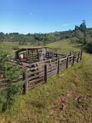 Fazenda / Sítio / Chácara com 2 Quartos à venda, 145200m² no Zona Rural, Monte Santo de Minas - Foto 9