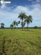 Fazenda / Sítio / Chácara à venda, 7598800m² no Zona Rural, Goianorte - Foto 7