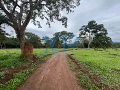 Fazenda / Sítio / Chácara com 3 Quartos à venda, 80m² no Zona Rural, São Sebastião do Oeste - Foto 3