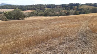 Fazenda / Sítio / Chácara com 1 Quarto à venda, 242000m² no Centro, Turvolândia - Foto 6