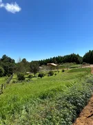 Fazenda / Sítio / Chácara com 2 Quartos à venda, 30000m² no Zona Rural, Campo Alegre - Foto 11