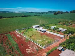 Fazenda / Sítio / Chácara com 1 Quarto à venda, 1250m² no Zona Rural, Cascavel - Foto 4