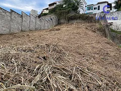 Terreno / Lote / Condomínio à venda no Quintas das Avenidas, Juiz de Fora - Foto 10