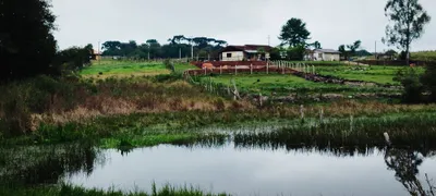 Fazenda / Sítio / Chácara à venda, 6500m² no Cachoeira, São José dos Pinhais - Foto 21