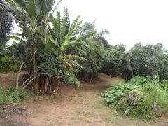 Fazenda / Sítio / Chácara com 3 Quartos à venda, 1530m² no Pavão-Canguera, São Roque - Foto 20