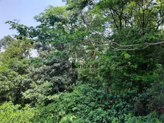 Fazenda / Sítio / Chácara com 6 Quartos à venda, 5625m² no Parque Jambeiro, Campinas - Foto 18