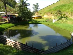 Fazenda / Sítio / Chácara com 4 Quartos à venda, 126000m² no Santa Cruz, Volta Redonda - Foto 12