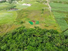 Fazenda / Sítio / Chácara à venda, 4000m² no Povoado, Pedras de Fogo - Foto 7
