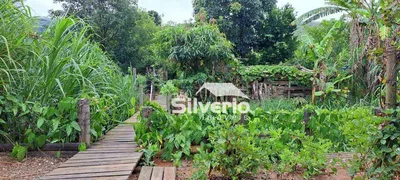 Fazenda / Sítio / Chácara com 2 Quartos à venda, 135m² no , Jambeiro - Foto 15