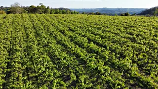 Fazenda / Sítio / Chácara à venda, 24000m² no Zona Rural, Monte Belo do Sul - Foto 5