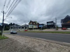 Terreno / Lote / Condomínio à venda, 9900m² no Avenida Central, Gramado - Foto 6