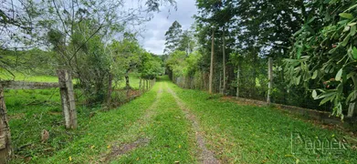 Fazenda / Sítio / Chácara com 3 Quartos à venda, 200m² no Zona Rural, Araricá - Foto 20