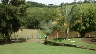 Fazenda / Sítio / Chácara com 6 Quartos à venda, 32000m² no Centro, Santa Branca - Foto 12