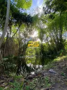 Fazenda / Sítio / Chácara com 4 Quartos à venda, 50000m² no , Pedras de Fogo - Foto 23