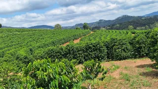 Fazenda / Sítio / Chácara à venda, 455000m² no Zona Rural, Turvolândia - Foto 3