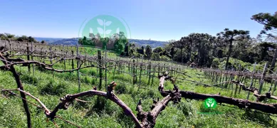 Fazenda / Sítio / Chácara à venda, 95000m² no Zona Rural, Monte Belo do Sul - Foto 6