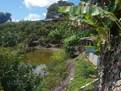 Fazenda / Sítio / Chácara com 4 Quartos à venda, 45000m² no Chacara Paraiso, Nova Friburgo - Foto 14