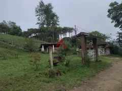 Fazenda / Sítio / Chácara com 3 Quartos à venda, 130m² no Bairro do Cedro, Paraibuna - Foto 2