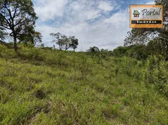 Terreno / Lote / Condomínio à venda, 5000m² no Chacara Ivoturucaia, Campo Limpo Paulista - Foto 2