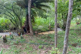 Fazenda / Sítio / Chácara à venda, 200000m² no Bocaiuva Do Sul, Bocaiúva do Sul - Foto 5