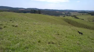 Fazenda / Sítio / Chácara com 2 Quartos à venda, 70m² no Zona Rural, Ribeirão Branco - Foto 9