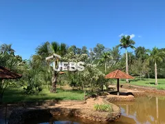 Fazenda / Sítio / Chácara com 4 Quartos à venda, 18516m² no Setor Garavelo Sul II, Hidrolândia - Foto 23