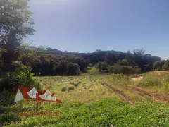 Fazenda / Sítio / Chácara com 1 Quarto à venda, 119000m² no Tietê, Araucária - Foto 9