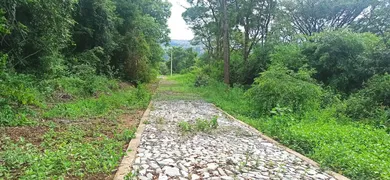 Terreno / Lote / Condomínio à venda, 1000m² no Centro, Matozinhos - Foto 14