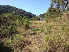 Fazenda / Sítio / Chácara com 2 Quartos à venda, 9000m² no Praia Das Palmeiras, Caraguatatuba - Foto 5