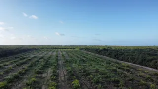 Fazenda / Sítio / Chácara à venda, 170000m² no Paripueira, Beberibe - Foto 10