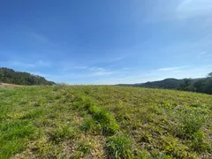 Terreno / Lote / Condomínio com 1 Quarto à venda, 5900m² no Lamenha Pequena, Curitiba - Foto 17