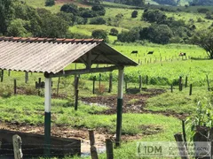 Terreno / Lote / Condomínio à venda, 10000000m² no Centro, Paraisópolis - Foto 5