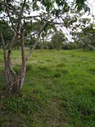 Fazenda / Sítio / Chácara à venda, 49000m² no Area Rural de Valparaiso de Goias, Valparaíso de Goiás - Foto 11