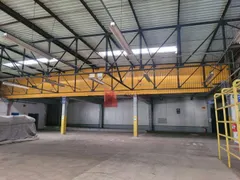 Galpão / Depósito / Armazém para alugar, 1300m² no Limoeiro, Brusque - Foto 7