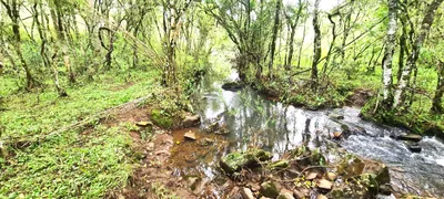 Fazenda / Sítio / Chácara à venda, 150000m² no Centro, São Joaquim - Foto 19