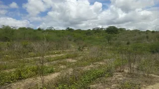 Fazenda / Sítio / Chácara com 1 Quarto à venda, 36000000m² no ALTO DO MOURA, Caruaru - Foto 18