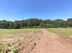 Fazenda / Sítio / Chácara à venda, 22500m² no , Gramado - Foto 6