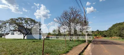 Terreno / Lote / Condomínio à venda, 367m² no Jardim Karaíba, Uberlândia - Foto 1