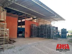 Galpão / Depósito / Armazém para venda ou aluguel, 10000m² no Jarinu, Jarinu - Foto 11