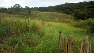 Fazenda / Sítio / Chácara à venda, 193600m² no Centro, São Miguel Arcanjo - Foto 8